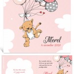 morris_ballonnen_gbm