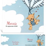 morris_luchtballon_gbj